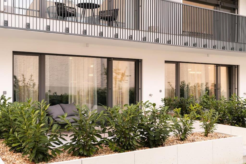 Green Garden Sauna Apartment Brno Dış mekan fotoğraf